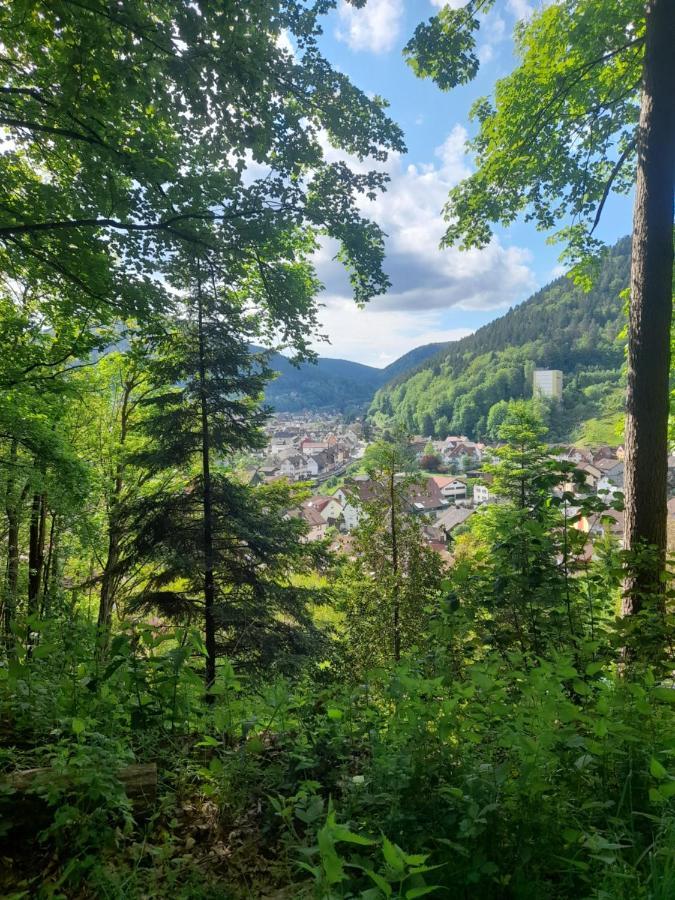 Ferienwohnung Am Enzufer Mit Wintergarten Bad Wildbad Im Schwarzwald 외부 사진